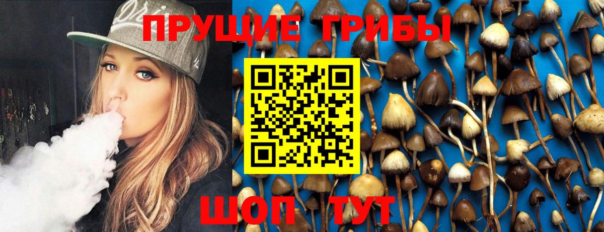 Псилоцибиновые грибы мицелий Гатчина
